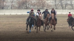 Polish Horses Chasing Kyrgyz Goats