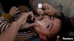 Щеплення від поліомієліту – краплі вакцини до ротика, Кветта, 2 січня 2017 року