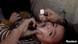 A boy receives polio vaccine from vaccination workers on a street in Quetta on January 2.