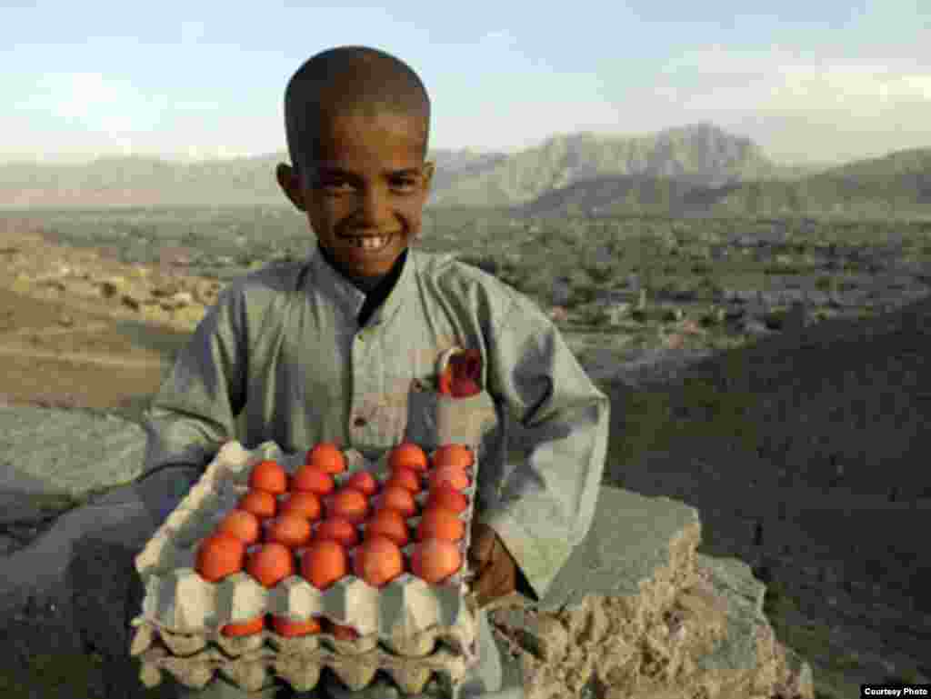 Afganistanski dječak prodaje kuhana jaja - Jedno od šestero djece u svijetu od 5 do 14 godina, ili 158 milijuna djece svijeta, je prinuđeno da radi. U svom godišnjem izvještaju UNICEF iznosi podatak da čak 30% djece osnovnih škola mora da radi kako bi pomoglo u izdržavanju svojih familija. 