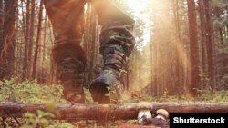 Самые опасные люди в лесу – чиновники и застройщики