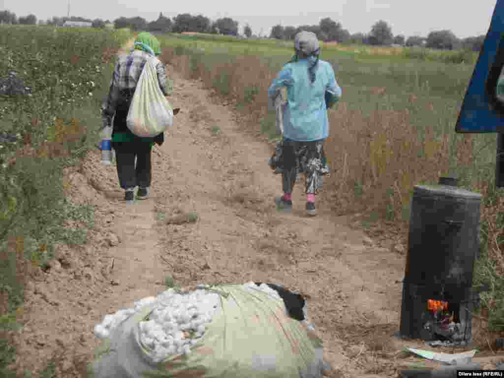 Большую часть мигрантов, занятых в уборке хлопка в селе Алгабас, составляют женщины.