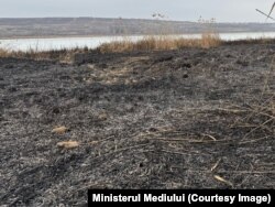 Sol pârjolit în urma unui incendiu de vegetație.