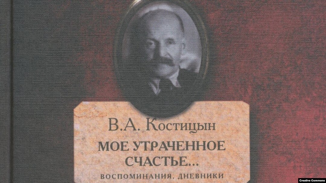 Дневники Владимира Костицына. Москва, НЛО, 2017. Обложка.