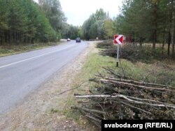 Зрэзанае кустоўе пакуль не прыбралі