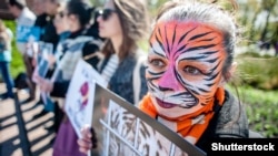 Акция протеста против использования животных в цирке, 15 апреля 2017 год 