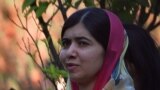 Нобел сыйлыгынын лауреаты пакистандык Малала Юсуфзай