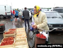 Камэрсантам здаваць трускалкі выгадней