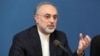 صالحی: حاضریم حضور بازرسان آژانس در ایران را تمدید کنیم