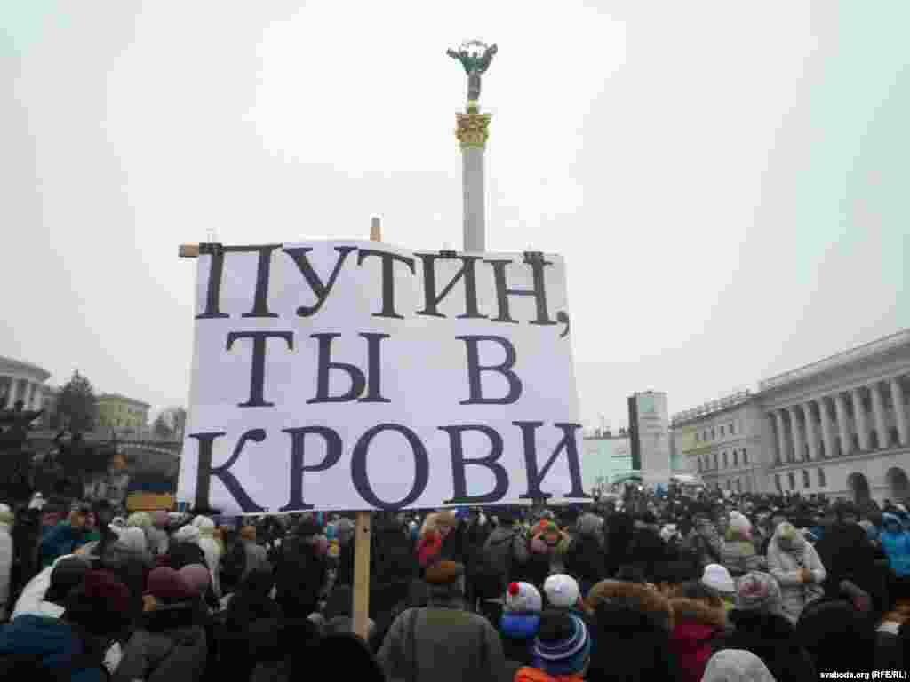 Під час Маршу миру в Києві, 18 січня 2015 року