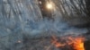 صحنه ای از آتش سوزی در پارک جنگلی گلستان