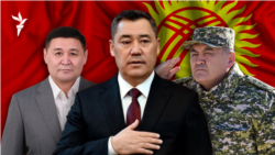 Ташиевтің қамалуы, түрмедегі белсенділер, Кремльдің күмәні