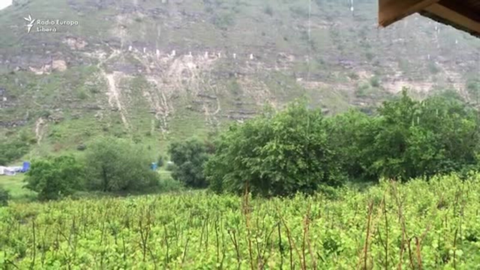 DescOPERA…ţiunea BUTUCENI. VERDI în cizme de cauciuc şi cu mămăliga în faţă