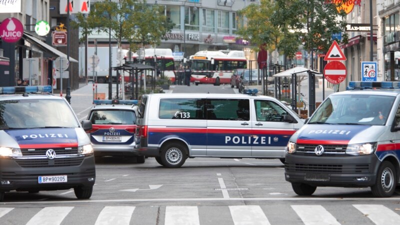 Загинаа тројца мигранти во Австрија кога комбе се превртело бегајќи од полицијата