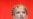 Tymoshenko Supporters Stage Protest