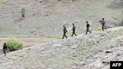 پاکستان - نیروهای پاکستان 