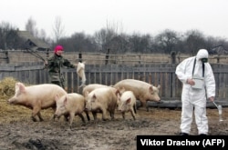 Працівник Білоруського радіаційно-екологічного заповідника вимірює рівень радіації в селі Воротець у квітні 2006 року