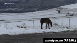 Արխիվային լուսանկար