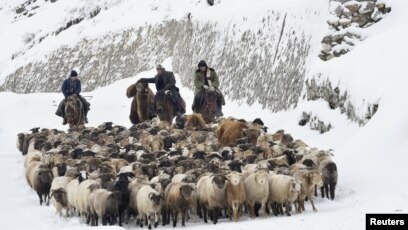 Жыртылған порно онлайн