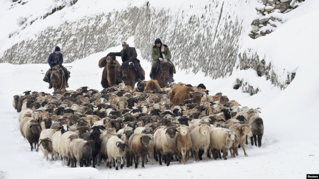 Орыс қызы онлайн порно көру Фотосуреттердегі порнография