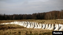 Першая частка сыстэмы пад назвай «Усходні шчыт», вайсковых умацаваньняў уздоўж усходняй мяжы Польшчы, у тым ліку зь Беларусьсю, 2024