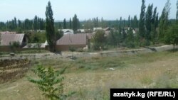 Кыргызстандын Ак-Таш жана Өзбекстандын Октом айылдарын ушул бетон арык бөлүп турат