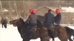 Текестеги көк бөрү