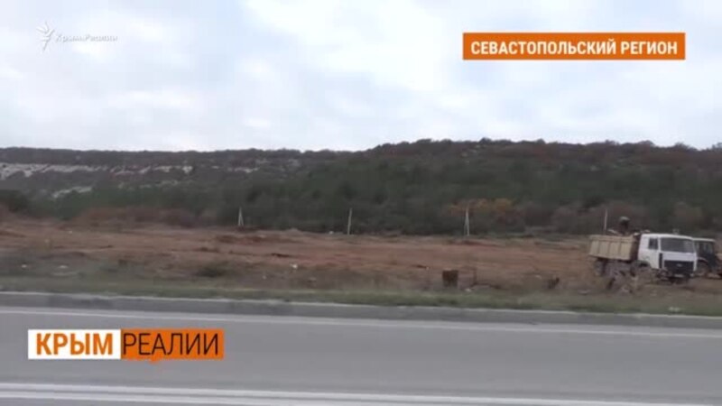 Вырубить все ради трассы «Таврида» | Крым.Реалии ТВ (видео)