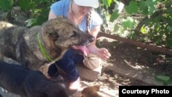 Добровольцы после первого наводнения, затопившего приют, активно участвовали в очистительных и восстановительных работах, а также привозили горячую еду для собак