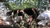 Відео з українських позицій біля Красногорівки: «Звісно, ми будемо й надалі боронити свою землю» – відео