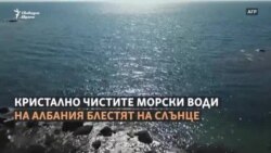 Под повърхността. Спасяването на кафявите водорасли