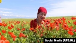 Гүлмээрим мугалим болом деп аракет кылып жүргөн. Турмуш кургандан кийин ЖАМУдагы окуусун бүтүрө албай калган.