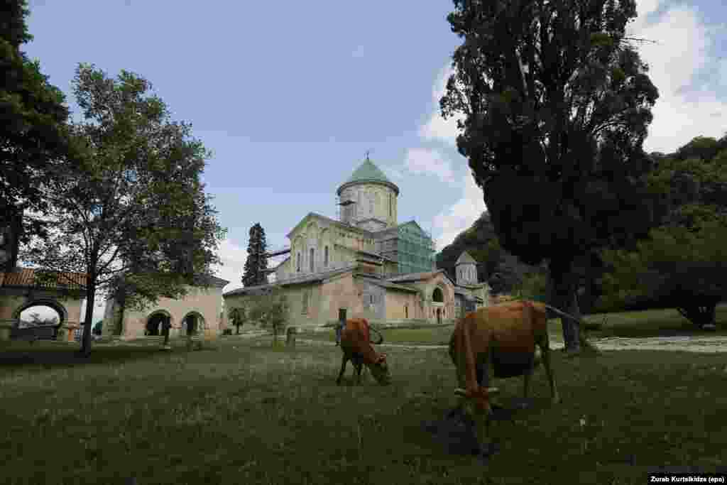 GEORGIA MONUMENTS -- Cows graze at the Georgian orthodox Gelati Monastery complex near the town of Kutaisi, Georgia, 11 July 2017 (issued 12 July 2017).