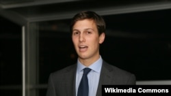 Jared Kushner, Donald Trumpun kürəkəni