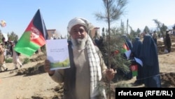 په خوست کې د نیالګیو د کېنولو د کمپاین یو انځور