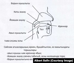 1нче рәсем