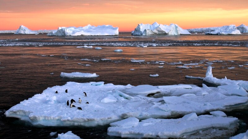 Арктика-Антарктика: эртеңибиз эмне болот?
