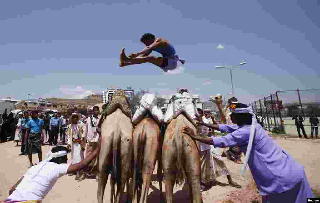 A Bedouin man jumps over camels during the Sanaa Summer Festival in Sanaa, Yemen. (Reuters/Khaled Abdullah)