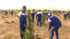 Туркменистан приступил к посадке 25 миллионов деревьев. В церемонии во время пандемии COVID-19 приняли участие тысячи людей 