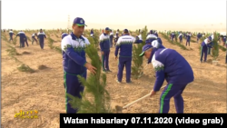 Bag ekmek çäresi. Arhiw suraty