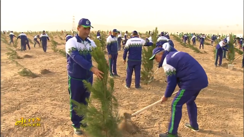 Çäre basyşy reallyklardan ünsi sowmak üçin ulanylýar  - Ýaşaýjylar