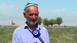 Имсол соли тарбуз набудааст