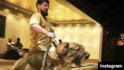 An ally who is speaker of Chechnya's parliament posted a photo of Ramzan Kadyrov with an angry dog straining on its leash and said its "fangs are itching" to get at opposition figures. 