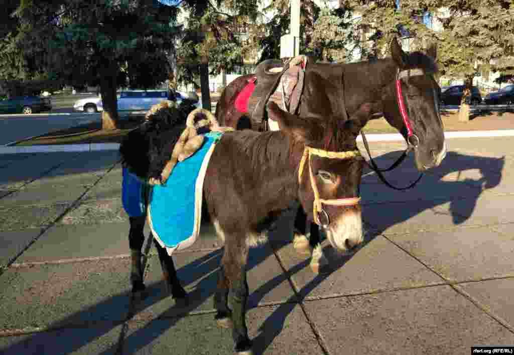 Într-un parc din Tiraspol