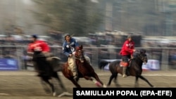 بزکشی