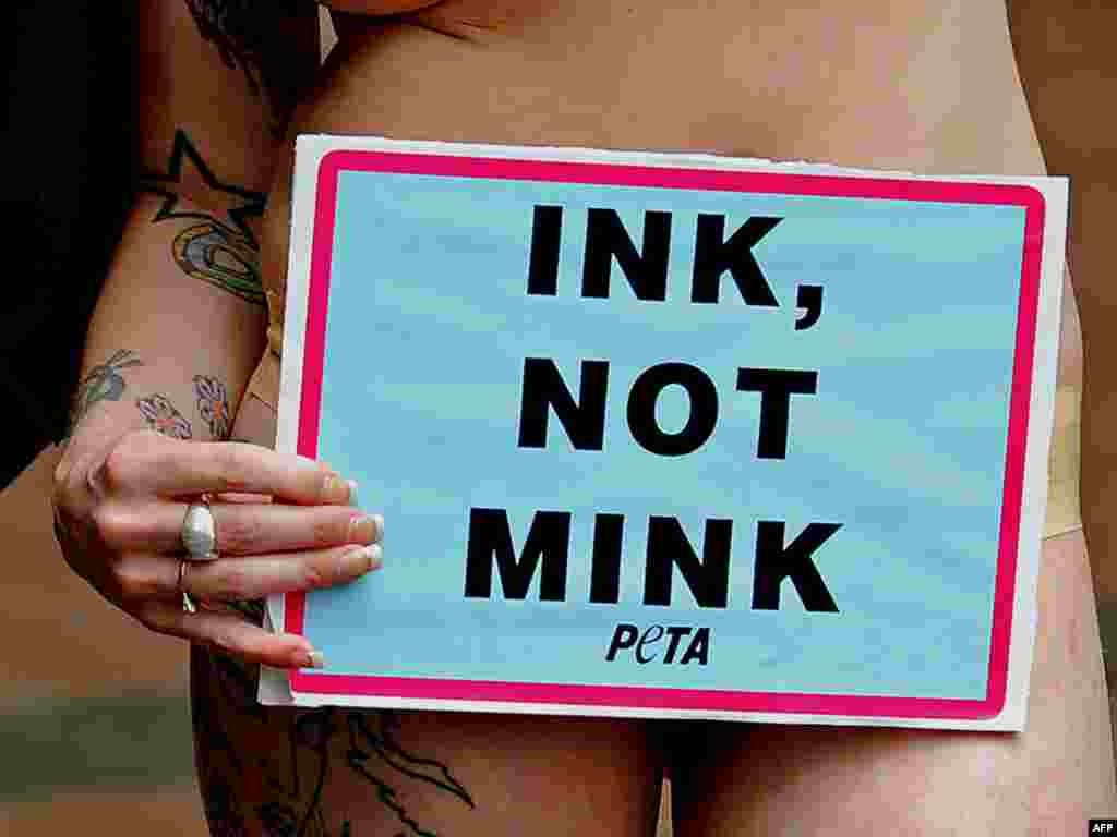 Актывістка руху за правы жывёлаў зладзіла пікет з заклікам ужываць татуіроўку замест футра, Сыднэй, Аўстралія - Фота: AFP
