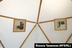  Кадър от серията „ Крехки “ на Йохана Траянова 