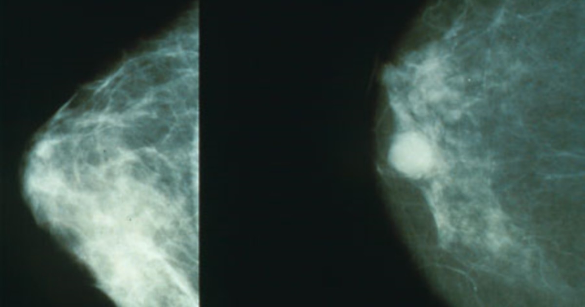 Chiroyli kokrakli qoramagiz ayol hayratlanarli minut beradi va juni yutadi Chiroyli kokrakli qoramagiz ayol hayratlanarli minut beradi va juni yutadi