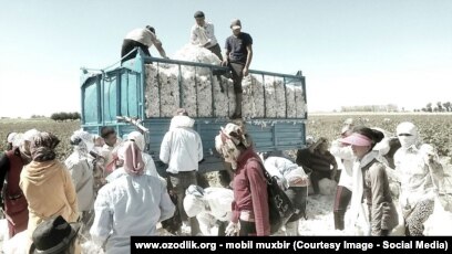 Әуесқойлық порно онлайн