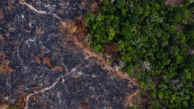 Shtetet e Amazonës kërkojnë veprime urgjente për ndryshimet klimatike